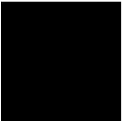 PORCELANOSA - Porcelanosa Yer Karosu E x treme Black 59.6 x 59.6 cm Kutu İçi 1.07 m²
