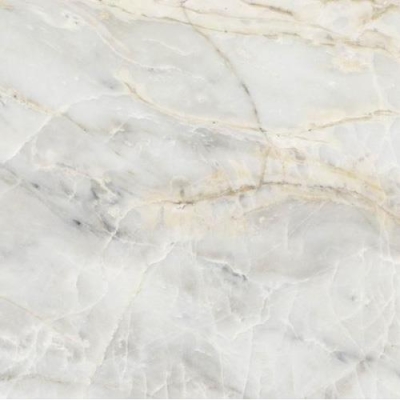 Unica Target Yer Karosu I Marmi Borbone Glossy 120 x 120 cm