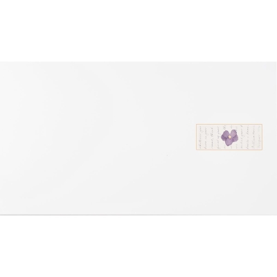 Zirconio Seramik Eina Poppi-1 33,3 x 60 cm